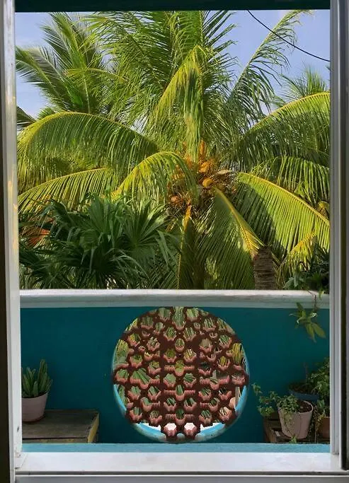 Casa Coloradita/Cozy Colorful Flat With Starlink Isla Holbox Apartment
