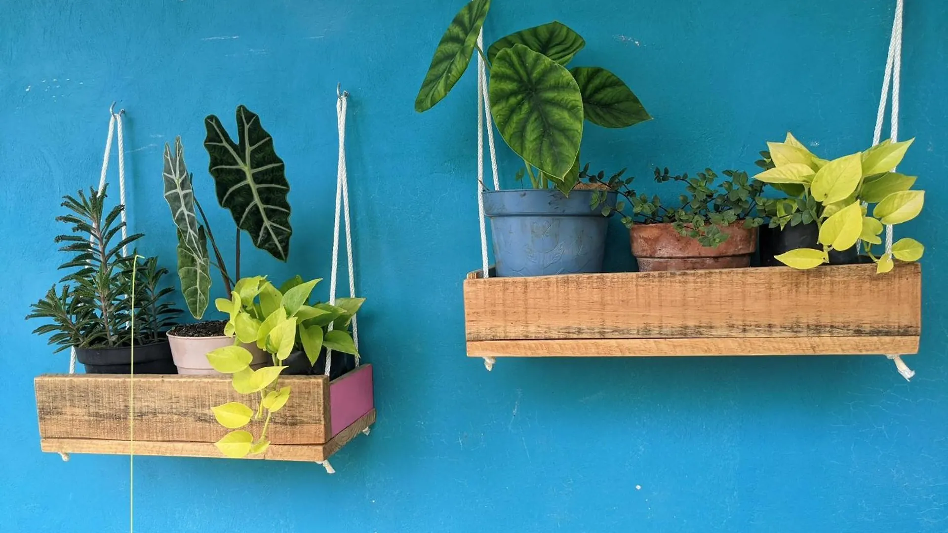 Casa Coloradita/Cozy Colorful Flat With Starlink Isla Holbox Apartment
